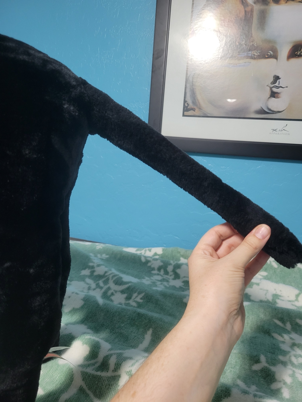 Black Plush Dog Toy - Soft Pet Plushie - Picture 11 of 15